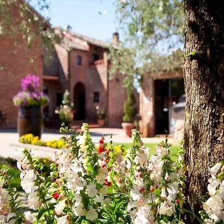 Great In A In Tuscany